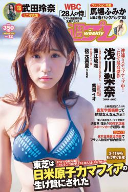 鹰隼大队电视剧