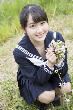 儿玉菜菜子种子